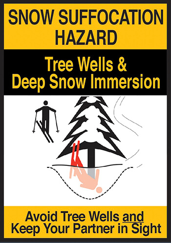 Tree Well and Deep Snow Safety